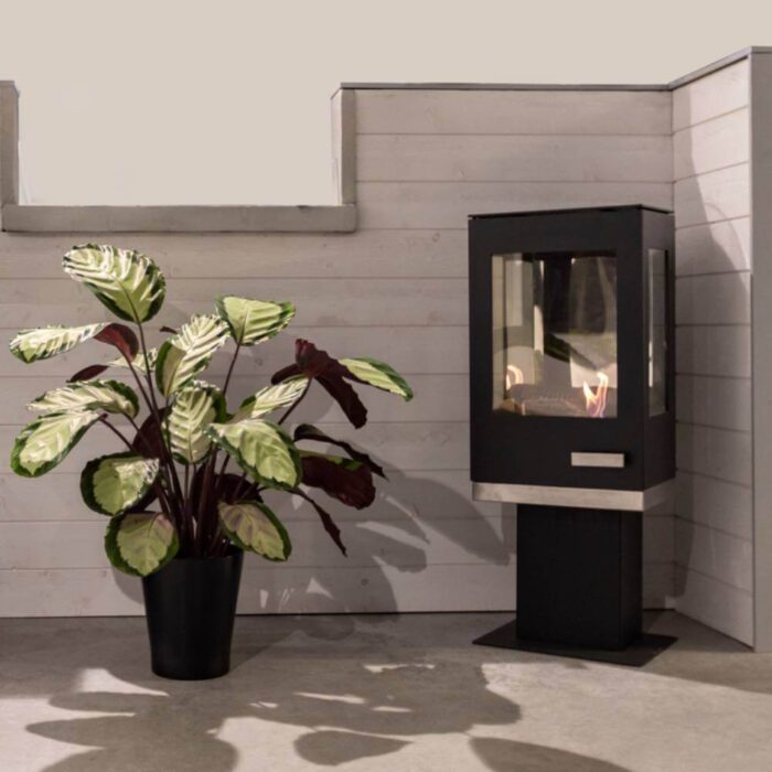 Etanolkamin Apartment 1 placerad bredvid en växt